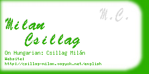 milan csillag business card